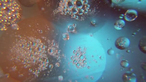 Oil Bubbles Water Space Looking Macro Shot High Quality Footage — Stok video