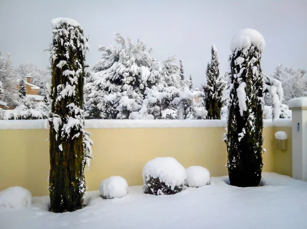 Vista Pared Delantera Del Jardín Cubierta Por Grueso Lecho Nieve — Foto de Stock