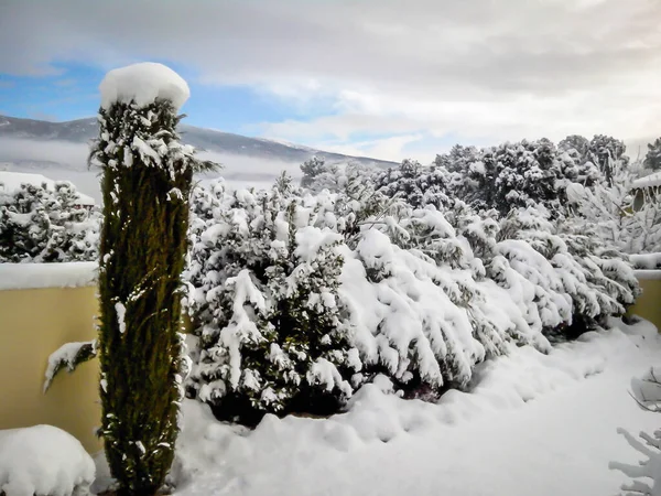 Vista Del Jardín Delantero Cubierto Por Grueso Lecho Nieve Junto — Foto de Stock