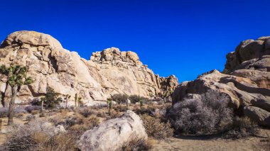 Kaliforniya, ABD, Joshua Tree Ulusal Parkı 'nda bir kaya oluşumu manzarası 
