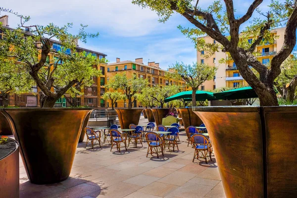 Marseille France May 2022 Close Trees Pots City Hall Plaza —  Fotos de Stock