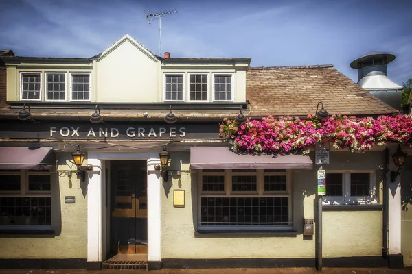 London United Kingdom July 2022 View Entrance Fox Grapes Pub — Stockfoto