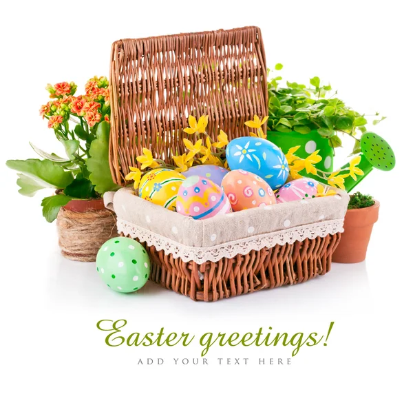 Huevos de Pascua en cesta con flores de primavera — Foto de Stock