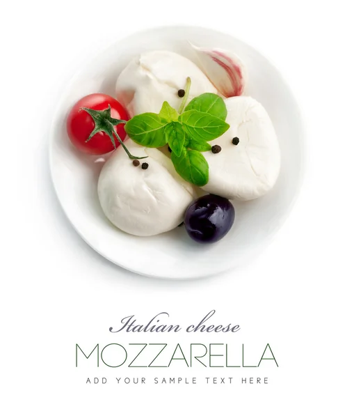 Italiaanse kaas mozzarella plaat met blad basilicum — Stockfoto
