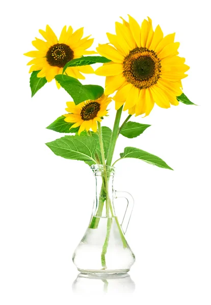 Bouquet flowers of sunflower in glass vase — Stock Photo, Image