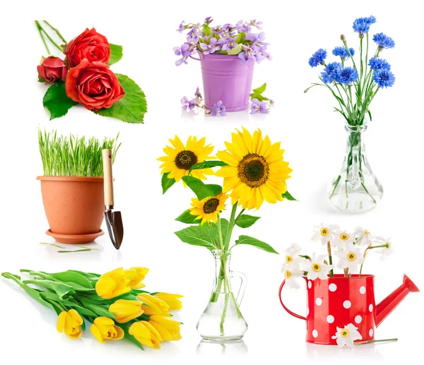 Conjunto flores buquê no vaso e pote — Fotografia de Stock