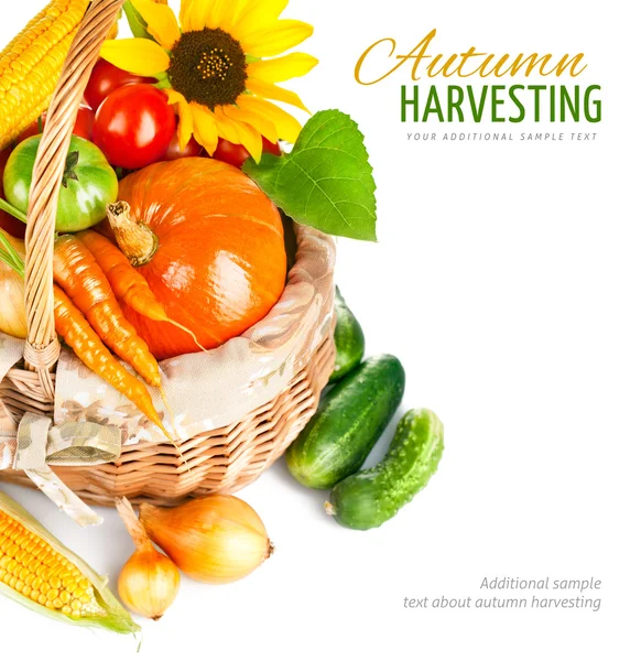 Autumnal harvest vegetables and fruits in basket — Stock Photo, Image
