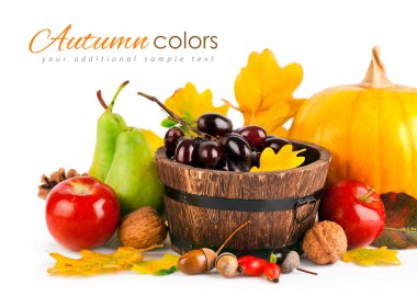 sonbahar hasat meyve ve sebze ile sarı yapraklar