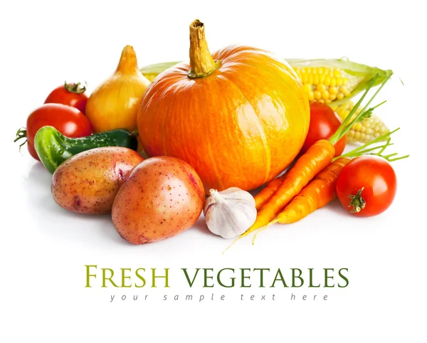 Autumnal harvest fresh vegetables — Stock Photo, Image