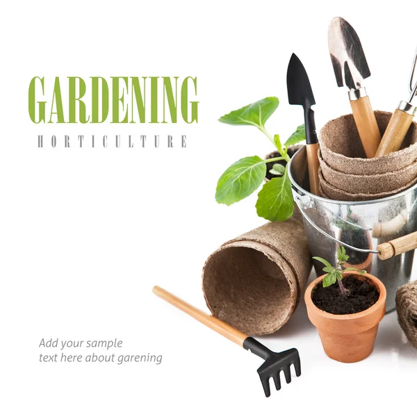 Herramientas de jardín con vegetales de las plantas de semillero —  Fotos de Stock