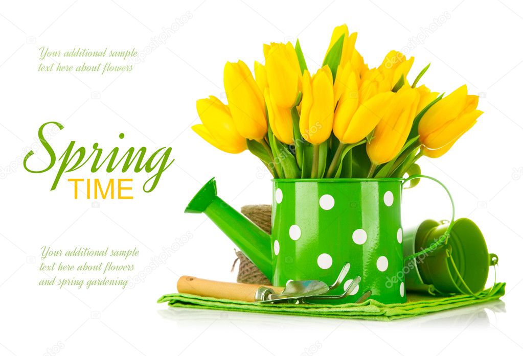 Spring flowers in watering can with garden tools
