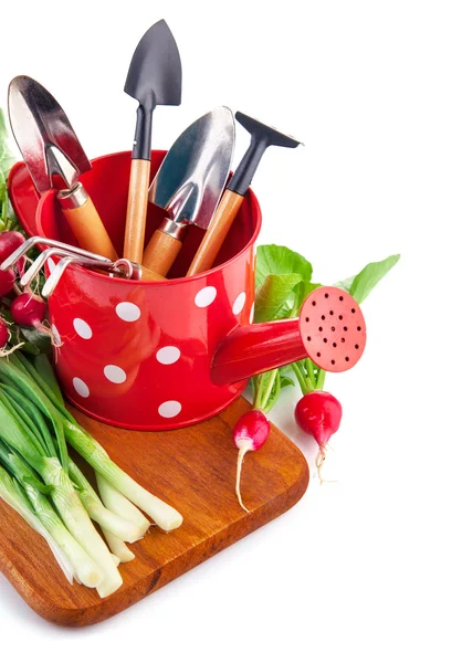 Arrosoir avec outils de jardin et des légumes frais — Photo