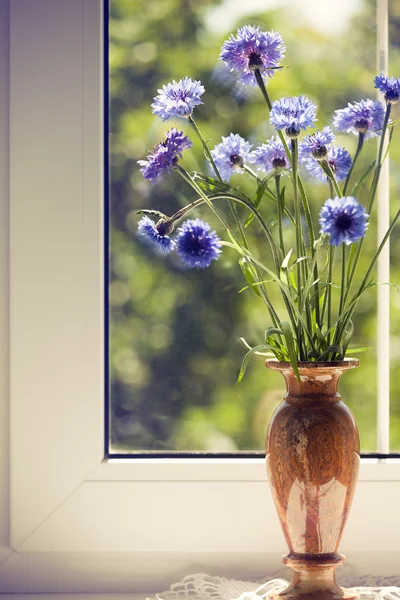 Bunch blue summery flowers on window — Fotografie, imagine de stoc