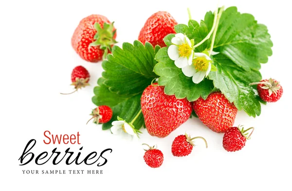 Fresh strawberry with green leaf and flower — Stock Photo, Image