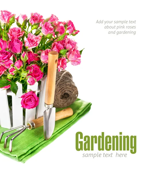 Pink roses with garden tools — Stock Photo, Image