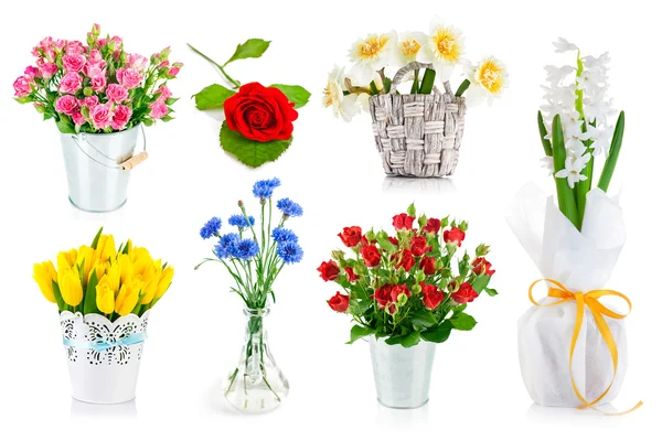 Set bunch of garden flowers — Stock Photo, Image
