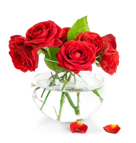 काचेच्या वासमध्ये लाल गुलाब बंच — स्टॉक फोटो, इमेज