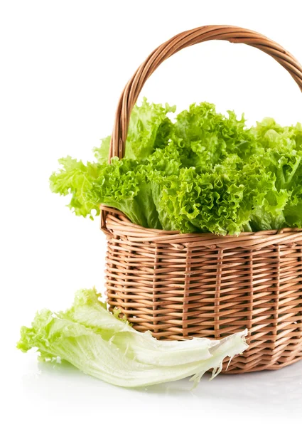 Laitue en feuilles fraîches dans le panier en osier — Photo