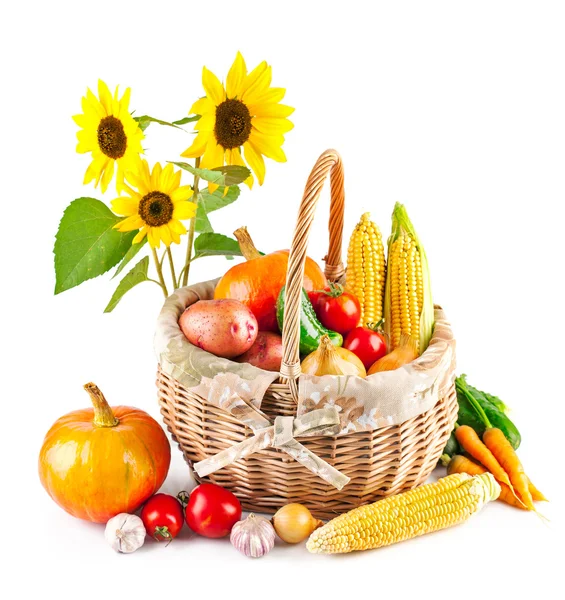 Autumnal harvest vegetables in basket — Stock Photo, Image