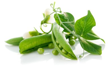 yaprak ve çiçek taze yeşil bezelye