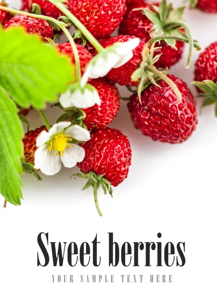 Berries fresh wild strawberries with green leaf and flowers — Stock Photo, Image