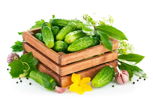 Fresh cucumbers in wooden box with green leaf and flower — Stock Photo, Image