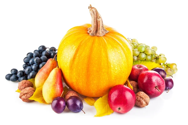 Autumnal harvest fruits and vegetables — Stock Photo, Image