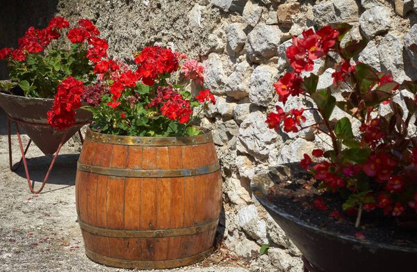 Old wooden barrel with red flowers petunias.