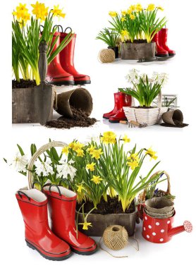 Kolaj, bahar çiçeklerini kırmızı lastik botlarla saksıya koydu..