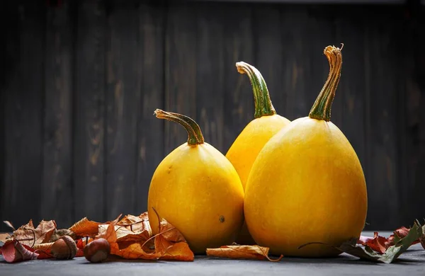 Calabaza de naturaleza muerta de otoño con hojas amarillas. Vector —  Fotos de Stock