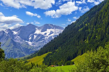 Grossglockner Alpine Road Mountains view (Grossglockner-Hochalpenstrasse), Avusturya. Avusturya Alplerinde yeşil ağaçları ve otları olan yüksek dağlar.