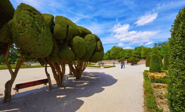 Madrid, Spain. Buen Retiro Park. Botanical garden, park with trees and bushes, landscape design. Green tree and decorative bush. Blue sky with clouds. Sunny day.