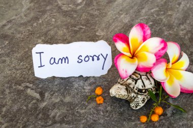 Üzgünüm Frangipani çiçekli kart el yazısı, kaplumbağa düzenleme düz arka planda gri kart stili