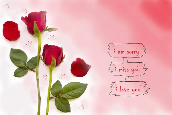 Sorry Miss You Love You Message Card Red Rose Flowers — стоковое фото