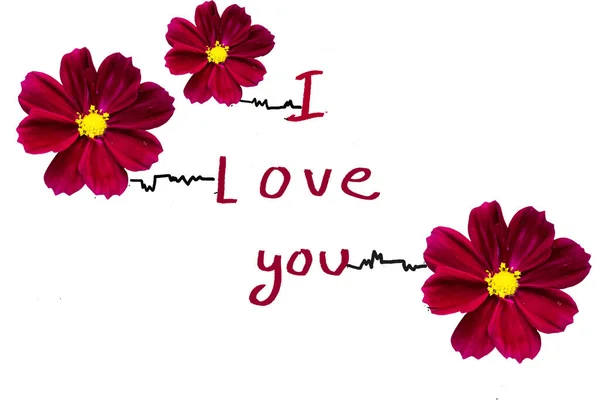 Jag Älskar Dig Meddelande Kort Handstil Med Röda Blommor Kosmos — Stockfoto