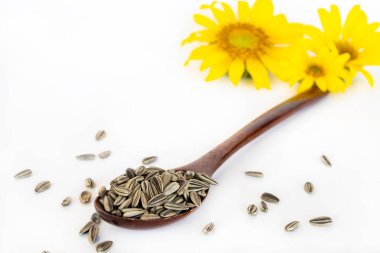 sarı çiçekler ayçiçekleri ve tohum yetiştirmek için düzenleme düz arka planda beyaz yatıyordu 