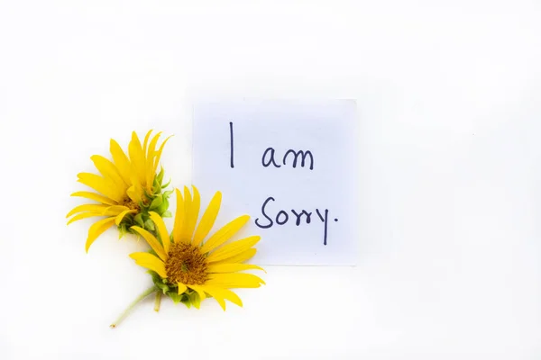 Sorry Message Card Handwriting Yellow Flowers Sunflowers Arrangement Flat Lay — Stock Photo, Image