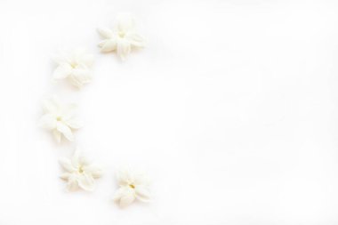 Asya 'nın yasemin yerel bitki örtüsü beyaz arka planda kartpostal stili yatıyordu.