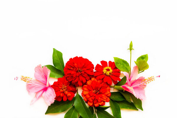 red zinnia elegans, pink hibiscus flowers local flora of asia arrangement flat lay postcard style on background white 