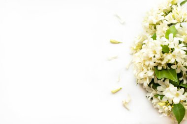 Asya düzenleme yasemin flora beyaz çiçekler arka plan beyaz üzerine yatıyordu kartpostal tarzı düz