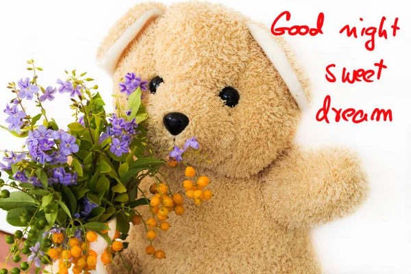 Good Night Sweet Dream Message Card Teddy Bear Purple Flowers — Photo