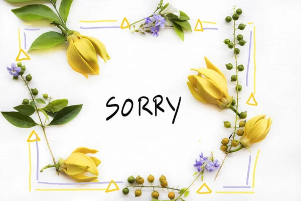 Sorry Zpráva Karta Rukopis Žlutými Květy Ylang Ylang Uspořádání Byt — Stock fotografie