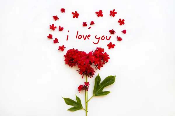 Love You Message Card Handwriting Red Flowers Rubiaceae Arrangement Hearts — Stock Photo, Image