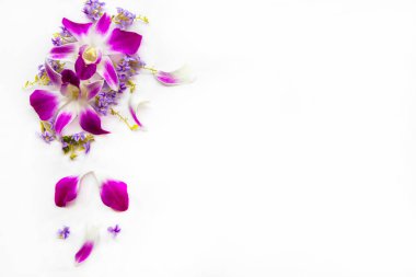 purple flowers orchids arrangement flat lay postcard style on background white 