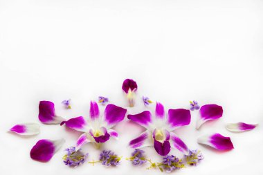 purple flowers orchids arrangement flat lay postcard style on background white 