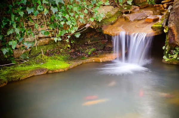 Cascada que se derrama en un acogedor estanque de peces o peces de colores — Foto de Stock