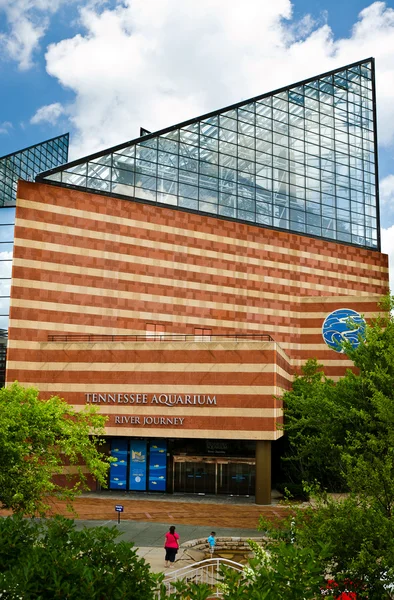 Tennessee Aquarium in Chattanooga — Stockfoto