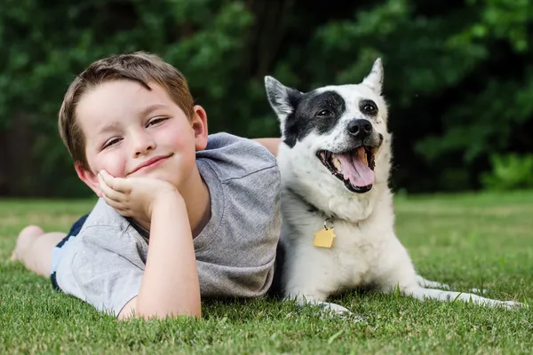 Enfant jouant avec son chien de compagnie, un talonneur bleu — Photo