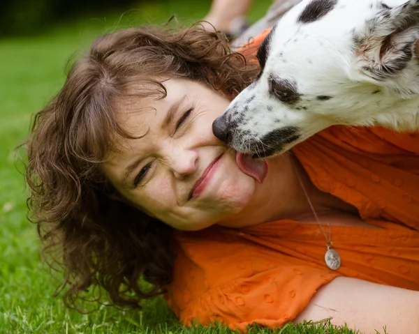 Mujer haciendo asqueroso cara mientras siendo lamido por su mascota perro —  Fotos de Stock