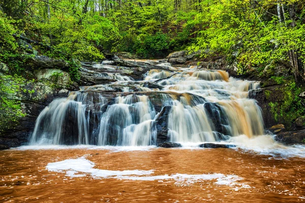 Rauschender Wasserfall in Georgien in der Nähe von Atlanta — Stockfoto